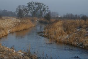 Rowerami z lasu Rędzińskiego nad Widawą do Paniowic?