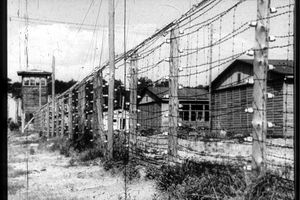 Ludzie byli tu mordowani przez całą II wojnę światową. 79. rocznica wyzwolenia niemieckiego obozu zagłady KL Stutthof