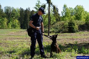 Jachu, czworonożny policjant, zakończył kurs specjalistyczny i rozpoczął służbę w olsztyńskiej policji 