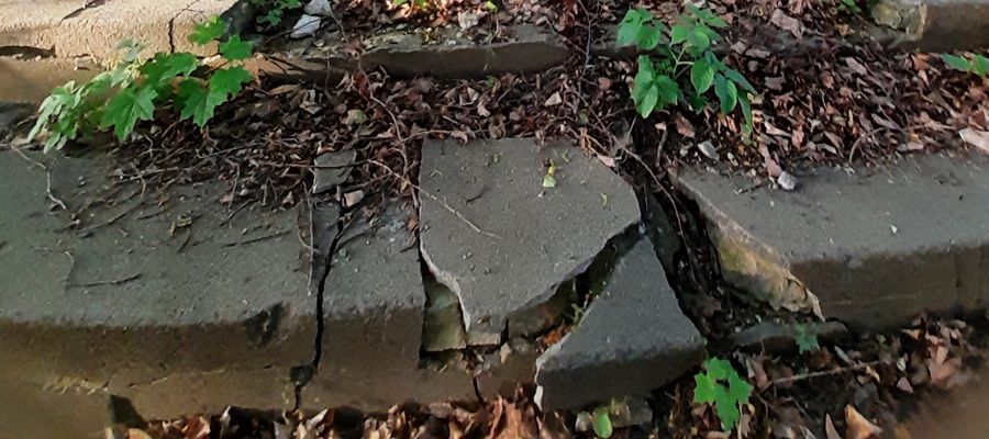 Olsztyn: Cmentarz przeżył go tylko o kilka miesięcy
