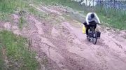 Francuz ukarany za jazdę rowerem po pasie drogi granicznej