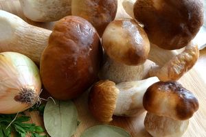 Przepis na pełny koszyk grzybów