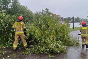 Pracowity tydzień elbląskich strażaków. Interweniowali 58 razy [ZDJĘCIA]
