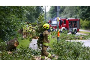 Ponad 200 interwencji straży pożarnej na Dolnym Śląsku
