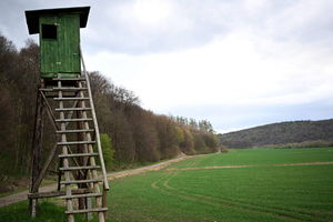 Podpalali ambony myśliwskie; grozi im do pięciu lat więzienia