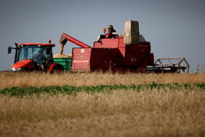 Agroklimatolog: w przyszłości żniwa będą się zaczynały na początku lipca