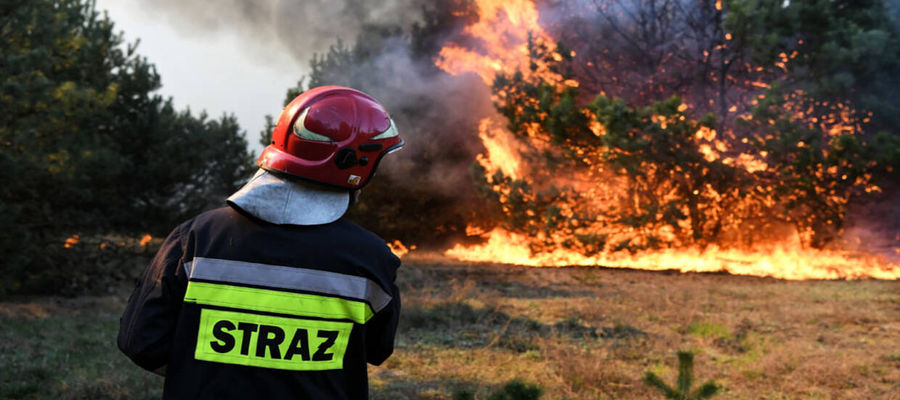 Zdjęcie jest tylko ilustracją do tekstu 