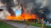 Tragedia w powiecie ostródzkim. Spłonął kurnik wielkopowierzchniowy 