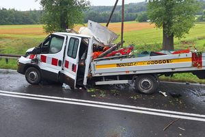 Straszny wypadek na Dolnym Śląsku. Drzewo spadło na busa.