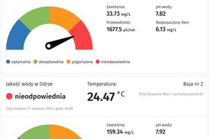 Jaka jest czystość wody w Odrze? Są wstępne wyniki pomiarów 