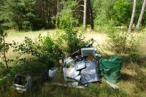 Mieszkańcy odkryli szokujące znalezisko w lesie za miejscowością Olszewki 