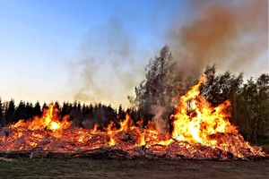 Region Warmii i Mazur ponownie zmienił kolor. Zagrożenie pożarowe w lasach wzrasta 