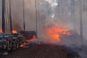 Ogromny pożar na terenie jednego z nadleśnictw na Warmii i Mazurach 