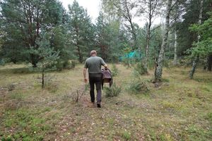 W Nadleśnictwie Jedwabno pojawili się nowi mieszkańcy 