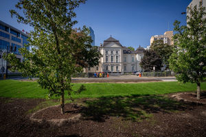 Ogród deszczowy w centrum miasta