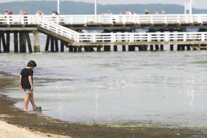 Pomorskie/ We wszystkich kąpieliskach woda jest zdatna do kąpieli