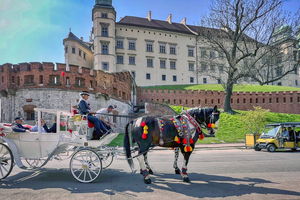  Krakowscy dorożkarze chcą wpisu na listę UNESCO. Obrońcy zwierząt mówią 