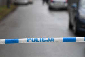 Tragedia na przedszkolnej wycieczce. Drzewo przygniotło dzieci 