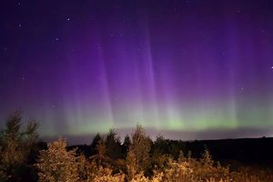 Rój Perseidów w towarzystwie zorzy. Nad Warmią i Mazurami zrobiło się bajecznie [ZDJĘCIA]