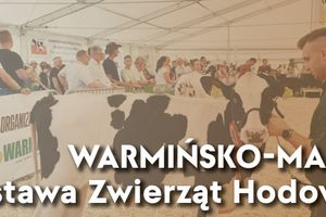 WARMIŃSKO-MAZURSKA Wystawa Zwierząt Hodowlanych