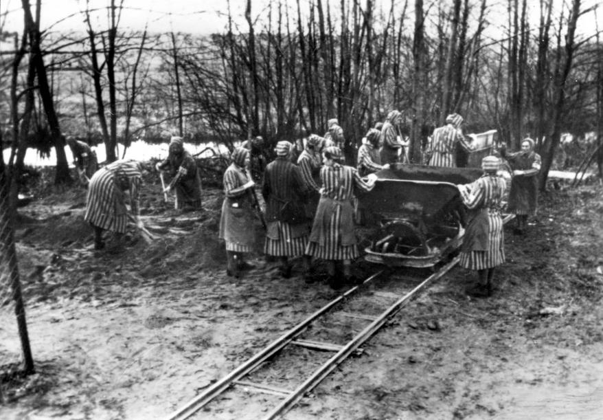 Więźniarki Ravensbrück w trakcie pracy na zewnątrz obozu