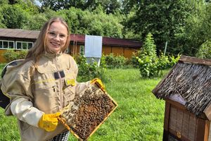 Połączenie miodu i pokrzywy? Doktorantka z UWM ma na to pomysł 