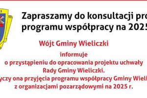 Informacja o projekcie programy współpracy GW z NGO 2025