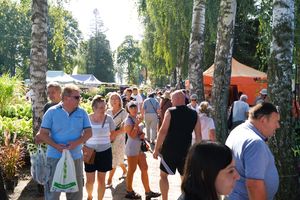 29. Jesienne Targi Ogrodnicze w Starym Polu w liczbach