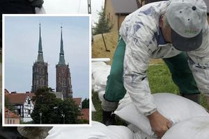 To nie jest jeszcze czas na sprzątanie!