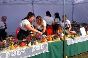 Dzika golonka z Durąga na podium Bitwy Regionów 