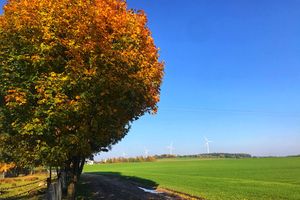 W niedzielne popołudnie rozpocznie się astronomiczna jesień