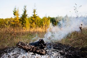 Na Warmii i Mazurach upał, a jak wygląda sytuacja w lasach? 