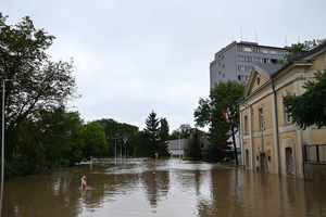 Specjalne procedury podczas klęski żywiołowej. Na czym polegają?