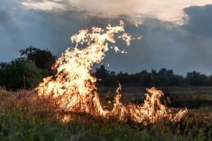 Instytut Badawczy Leśnictwa informuje o dużym zagrożeniu pożarowym lasów