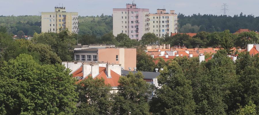 Zdjęcie jest ilustracją do tekstu