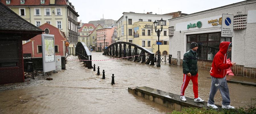 Zdjęcie jest tylko ilustracją do tekstu