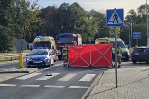 Tragiczny wypadek. Kierowca potrącił na pasach ojca z dwojgiem dzieci