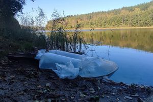 Sandacze, liny i szczupaki. Trwa zarybianie akwenów