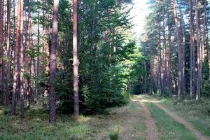 Zgłosił kradzież auta, a jak się okazało zaparkował je w innym miejscu