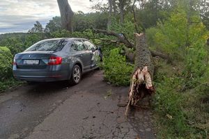 Groźny wypadek. Spadła gruba gałąź na auto