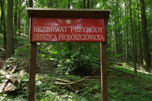 Nowe rezerwaty na Dolnym Śląsku