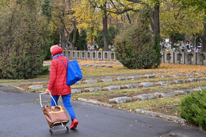 Stołeczne cmentarze online – wyszukiwarka grobów już dostępna