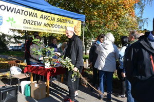 Odbierz sadzonkę —posadź drzewo