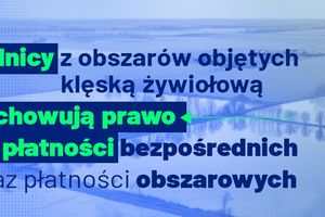 Klęska żywiołowa dotknęła rolników w południowo-zachodniej części kraju
