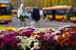 Pierwsze linie cmentarne już od weekendu