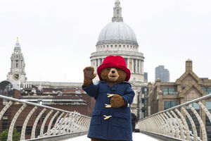 Miś Paddington otrzymał brytyjski paszport
