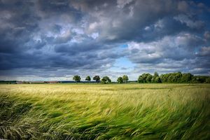 Instytut Meteorologii i Gospodarki Wodnej wydał ostrzeżenie. Gdzie mocniej zawieje? 