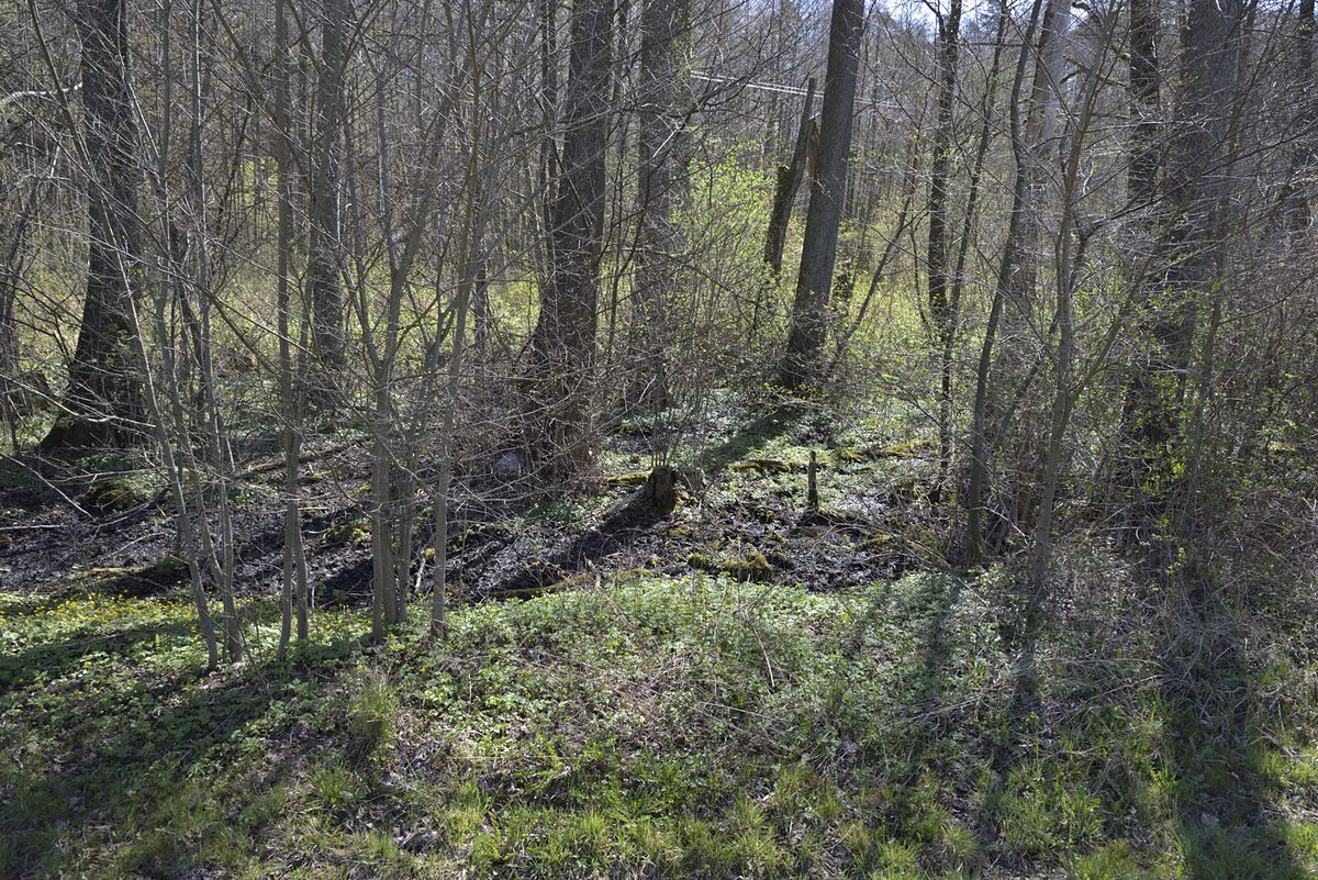 Użytek ekologiczny Polder Jagodno