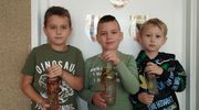 Jesienne Butelki Spokoju w Oddziale Zerowym w SP 3