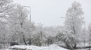 Śnieżne prognozy na grudzień